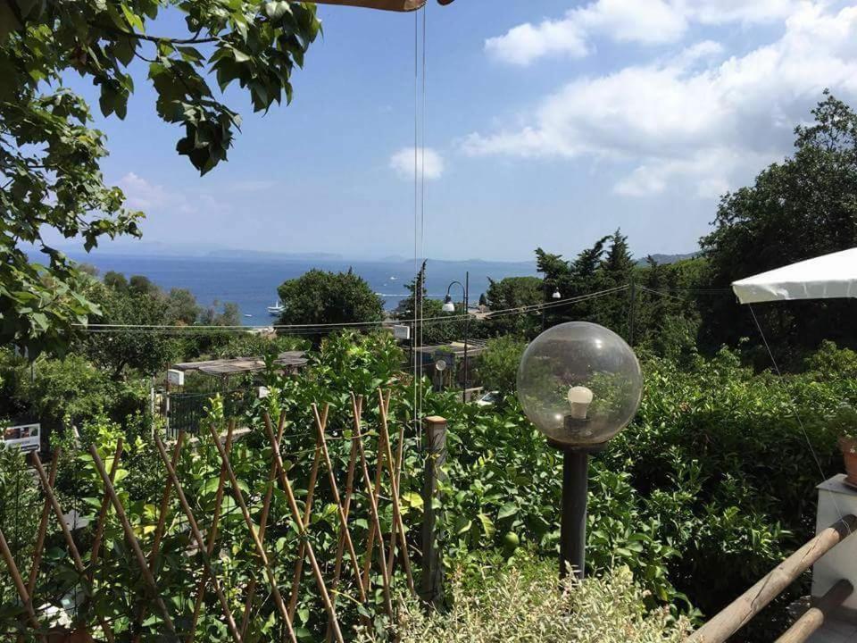 Sweet Home 拉科阿梅诺 外观 照片